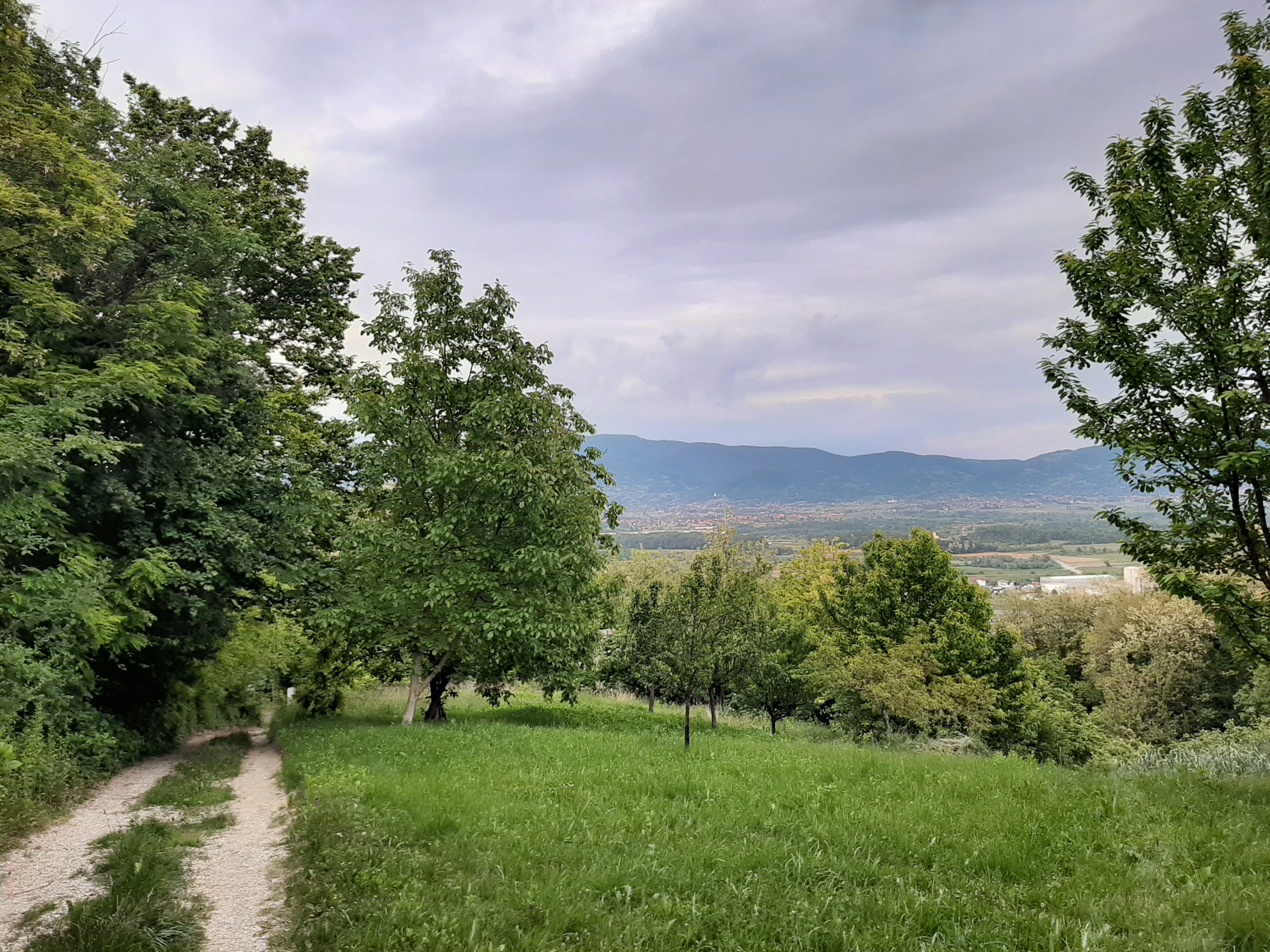 Razne slike iz Pojatna
